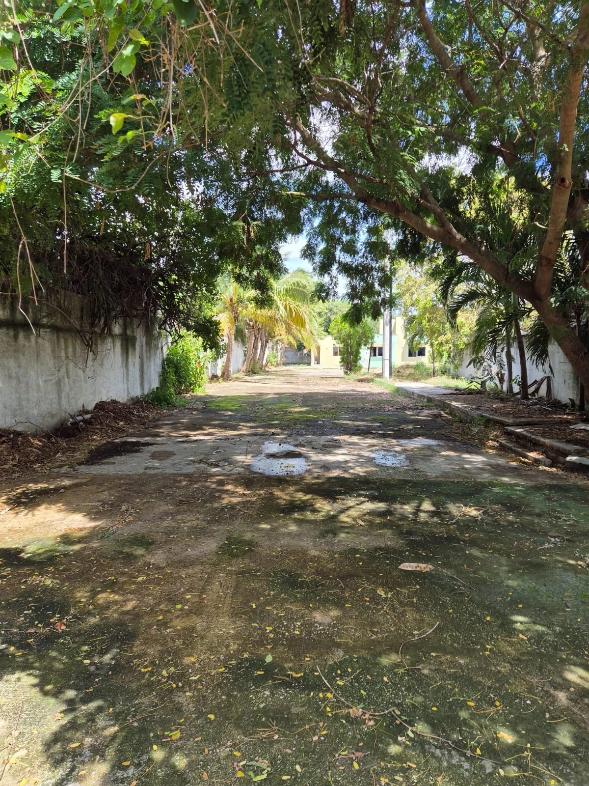 Land for sale for residential construction. CALLE 13-A  # 134   X 21-1 Y 21-2, Mérida. 